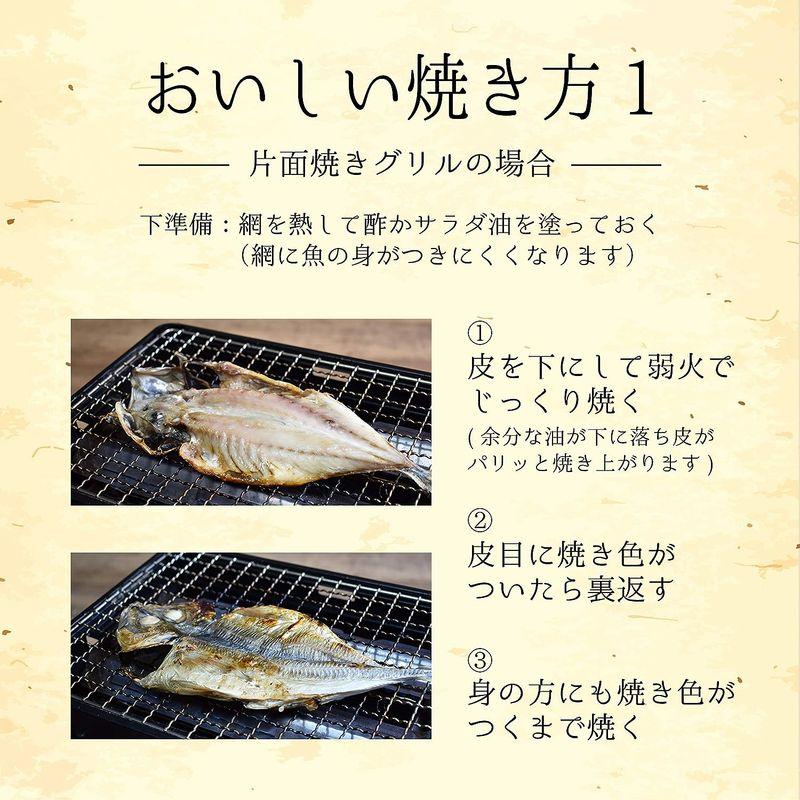 お中元 ギフト 干物 ギフト 冷凍 緑茶干し 干物ギフト詰め合わせセット4種10枚 ホッケフィレ2枚 あじ開き4枚 赤魚フィレ2枚 さば開き