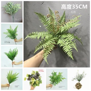 仿真植物背景墻草坪插花單支綠植塑料葉子餐廳客廳裝飾蕨類假花草