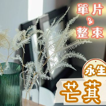【璟采職人】單片/整束 芒萁 芒萁葉 蕨葉 桌花 盆花 乾燥花 不凋花 永生花 居家佈置 乾燥花材 仿真花 捧花