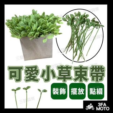 🔥現貨免運 小草束帶 束帶裝飾 小草 小草束帶 綠葉束帶 葉子束帶 草 草束帶 束帶 車牌裝飾 小草裝飾 可愛束帶 束帶