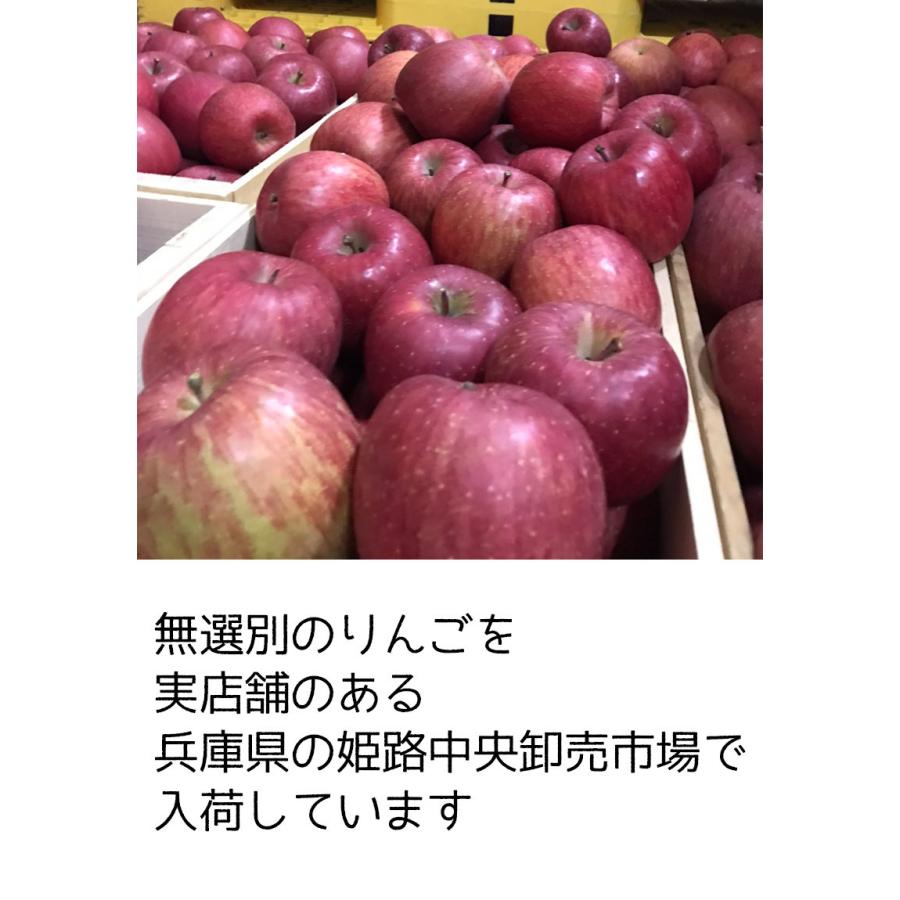 りんご 訳あり 10kg箱 青森県産 サンふじ りんご 10Kg前後 送料無料 糖度保証 りんご 訳あり 約10Kg 予約 11月上旬頃発送