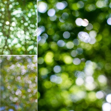 台灣出貨新款森係虛幻化樹影夢幻光斑拍照道具背景佈影樓擺拍攝影寫真佈