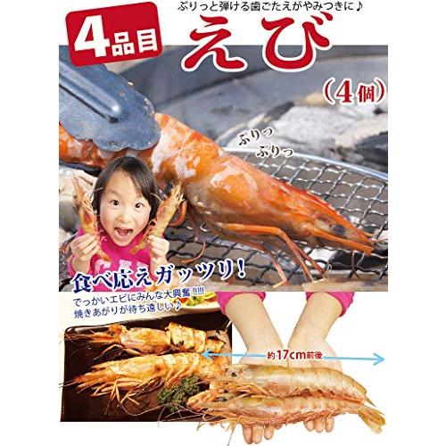 高級 海鮮 詰め合せ 4種15品 (約2-4人前) 海鮮セット かき ほたて 赤 えび サーモン  海鮮鍋 バーベキューセット 海鮮 bbq