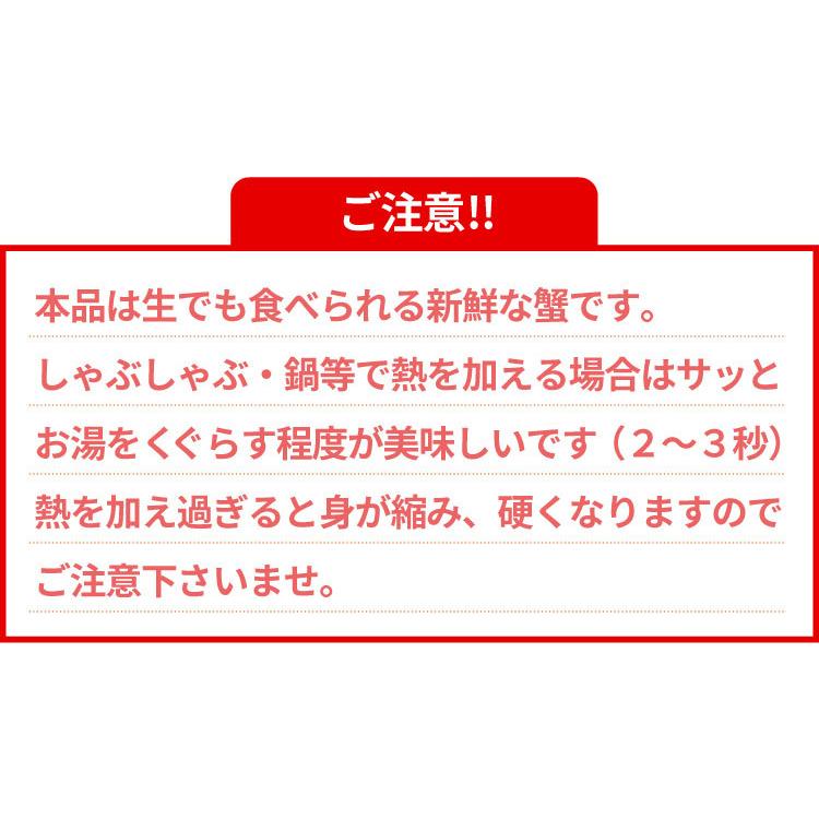 カニ生食可 7Lサイズ 本ずわい蟹 かにしゃぶ 500g入 ズワイガニ ズワイ蟹 送料無料（沖縄宛は別途送料を加算）