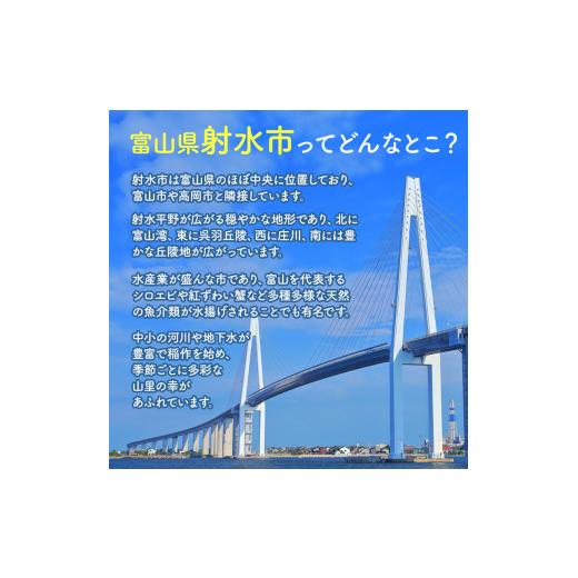 ふるさと納税 富山県 射水市 [No.5683-0323]富山湾　海の幸詰合せ（昆布巻とぶりほぐし身・旨煮セット）