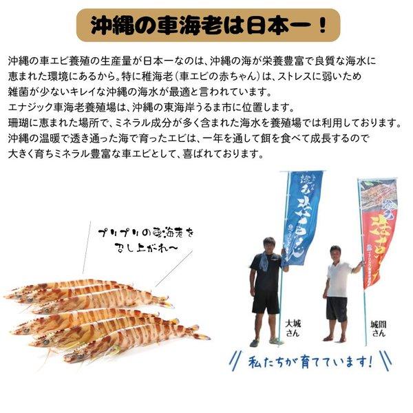 沖縄県産冷凍車海老 400g  (16~18尾前後) 沖縄 グルメギフト お世話になった人への贈り物にに ｜車エビ｜