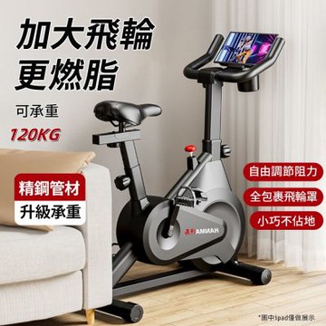飛輪健身車 磁控阻力動感單車 飛輪車 室內腳踏車 健身車