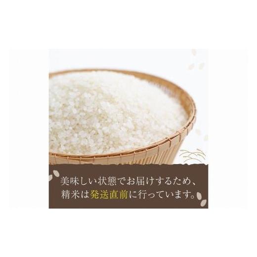 ふるさと納税 京都府 京丹後市 定期便 令和5年産 新米 丹後こしひかり 5kg×3ヵ月 1等米