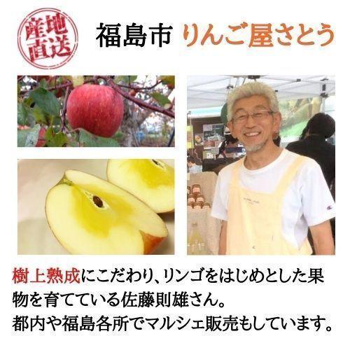  りんご サンふじ 最高級 2L 5kg 箱（約13〜14個入り） 産地直送 送料無料 12月上旬〜順次発送 福島 りんご屋さとう