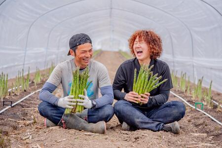 富良野 益田農園産 極太 グリーンアスパラガス ≪S～2L混合≫ 約500g アスパラ 北海道 富良野市 緑アスパラ 野菜 とれたて 朝採り 限定 数量限定 (益田農園)