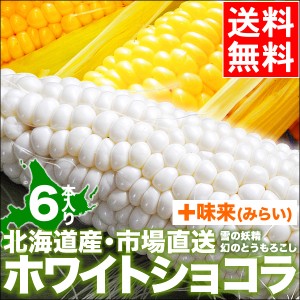 2024年 予約受付中 9月頃出荷開始 北海道産 とうもろこし 送料無料 ホワイトショコラ・味来 食べ比べ 各3本   北海道 新鮮直送 イエロー