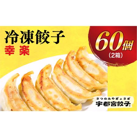 ふるさと納税 　餃子30個入り×2箱 栃木県宇都宮市