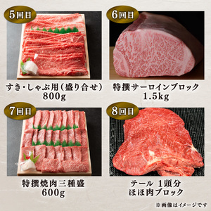 近江牛 特選 定期便 全12回 近江牛食べつくしコース ロース肉 もも肉 うで肉 肩ロース肉 バラ肉 サーロイン肉 ほほ肉 ホルモン 肉 焼きしゃぶ肉 黒毛和牛 牛肉 肉 すき焼き しゃぶしゃぶ 焼肉 焼き肉 ギフト 自宅用 高級 牛肉 国産 肉 ふるさと納税 ブランド牛 三大和牛 和牛 贈り物 内祝い 神戸牛 松阪牛 に並ぶ 日本三大和牛 定期便 滋賀県 竜王町 定期便 澤井牧場 定期便 送料無料 定期便)