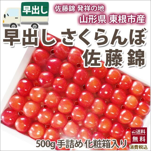 さくらんぼ 父の日 お中元 佐藤錦 ギフト プレゼント 早出し さくらんぼ 佐藤錦　手詰め 500g　5 20以降 1kg 500g ばら詰め 山形産 農産物