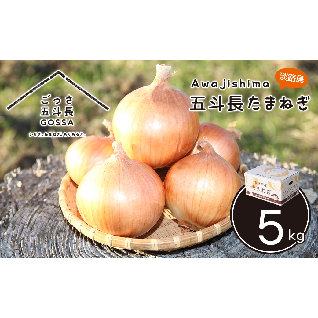 五斗長たまねぎ 5kg