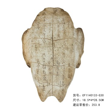 樹脂仿真化石甲骨文龜殼擺件 咖啡廳酒吧壁掛墻面軟裝飾教學道具