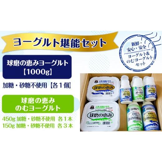 ふるさと納税 熊本県 湯前町 球磨の恵みヨーグルト堪能セット