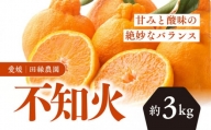 田縁農園の不知火（しらぬい）3kg※着日指定不可※離島への配送不可※2024年2月上旬～3月上旬頃に順次発送予定