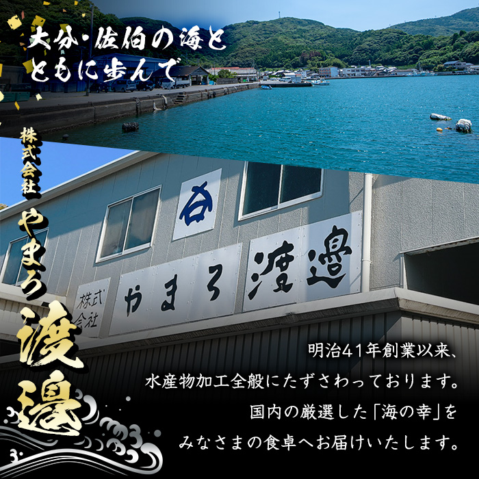 ＜訳あり＞ 干物大満足BOX (40尾以上・5-8種) 簡単 調理 干物 あじ アジ かます カマスさば サバ いわし みりん干し 丸干し 開き 魚 海鮮 冷凍 詰め合わせ セット 