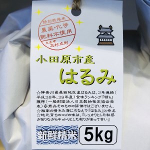 志村屋米穀店 令和5年産新米小田原市産 農薬・化学肥料不使用はるみ 新米 20kg（5kgｘ4）＜出荷時期：10月中旬より順次出荷開始＞