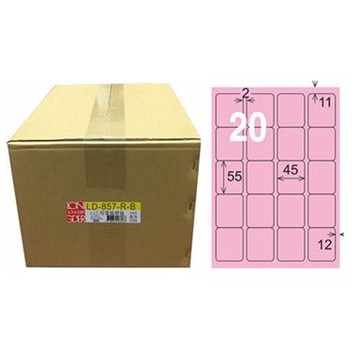 【龍德】A4三用電腦標籤 55x45mm 粉紅色1000入 / 箱 LD-857-R-B