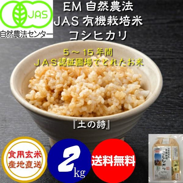 令和5年産 新米 無農薬 有機米コシヒカリ食用玄米 2kg 土の詩 お米 自然農法   JAS認証