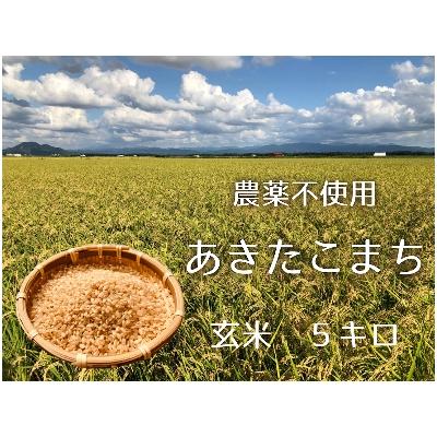 ふるさと納税 大潟村 10月下旬より発送あきたこまち玄米5kg (栽培期間中農薬不使用・化学肥料不使用)