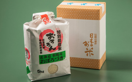 令和5年産　北海道羽幌産特別栽培米おぼろづき5kg