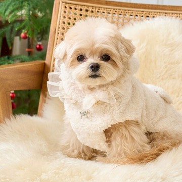 寵物服飾-斗篷bell毛背心-奶油白-pancho-韓國it’s 寵物衣服  狗狗衣服  小型犬衣服 比熊貴賓瑪爾