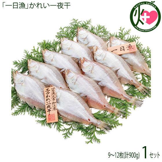 「一日漁」かれい一夜干900g 岡富商店 干物 白かれい 贈り物