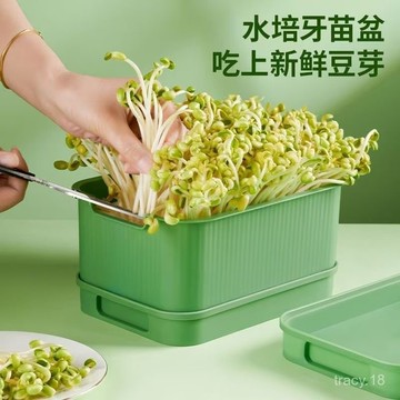 🔥桃園48H🔥豆芽種植 芽菜髮芽盆 傢用髮芽無土栽培水培託盤 蔬菜髮芽盆 水耕種植 豆芽菜 育苗盤 水耕盤 芽菜盤新款豆