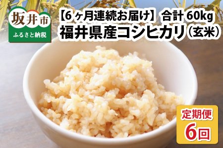  本原農園のまごころコメた 福井県産 コシヒカリ 10kg × 6回 計60kg [G-8902_02]