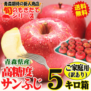 出荷中！青森 りんご 5kg箱 サンふじ ご家庭用 訳あり りんご 訳あり 5キロ箱 大小様々★サンふじ 家訳 5kg箱