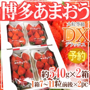 福岡産 博多 ”あまおういちご” 等級DX（デラックス） 2箱 4パック入り（1パック約270g） 送料無料