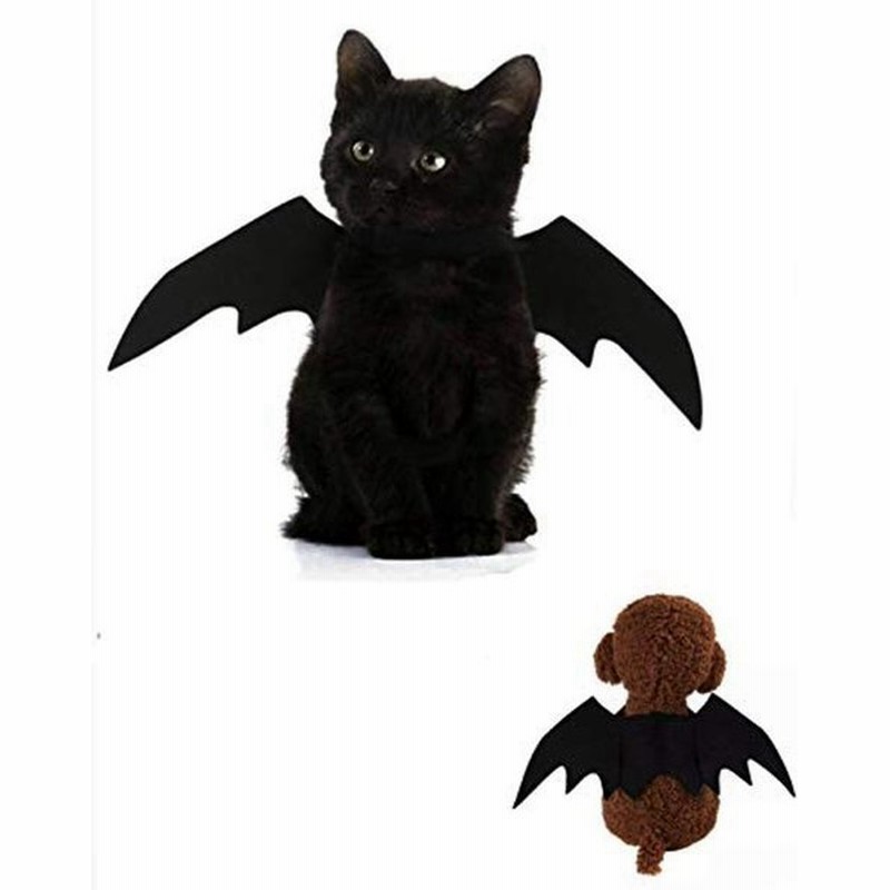 ペット 犬 猫 ハロウィン コスプレ コスチューム 仮装 コウモリ ペット服 ドッグウェア キャットウェア 羽 吸血鬼 通販 Lineポイント最大get Lineショッピング