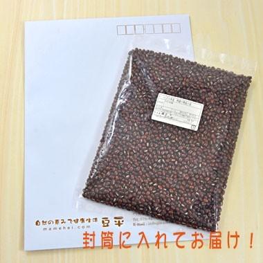 豆 小豆 北海道産 等外品 あずき 令和４年産 メール便送料無料 900g  ※日時指定不可・代引不可・同梱不可商品