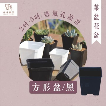 【拈花微笑】方形盆｜黑色｜多肉植物盆｜仙人掌盆｜香草盆｜小品盆