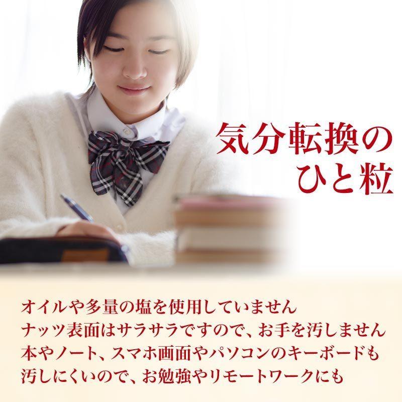 ナッツ 薄皮付き 特大 カシューナッツ 無塩 ロースト500g×1袋メール便限定 送料無料