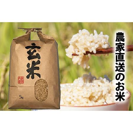 ふるさと納税  本原農園のまごころコメた 福井県産 コシヒカリ 10kg × 6回 計60k.. 福井県坂井市