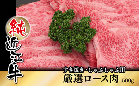 純近江牛すき焼き・しゃぶしゃぶ用特撰ロース肉 500g [0351]