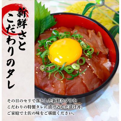 ふるさと納税 田野町 これが魚屋の漬け丼だ!〜ブリ〜 《訳あり》 80g×10P