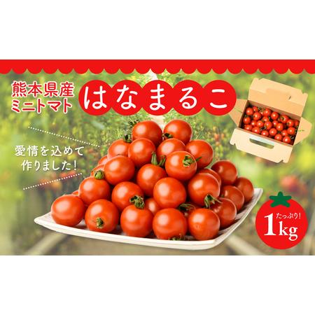 ふるさと納税 熊本県産 ミニトマト はなまるこ 1kg 熊本県八代市