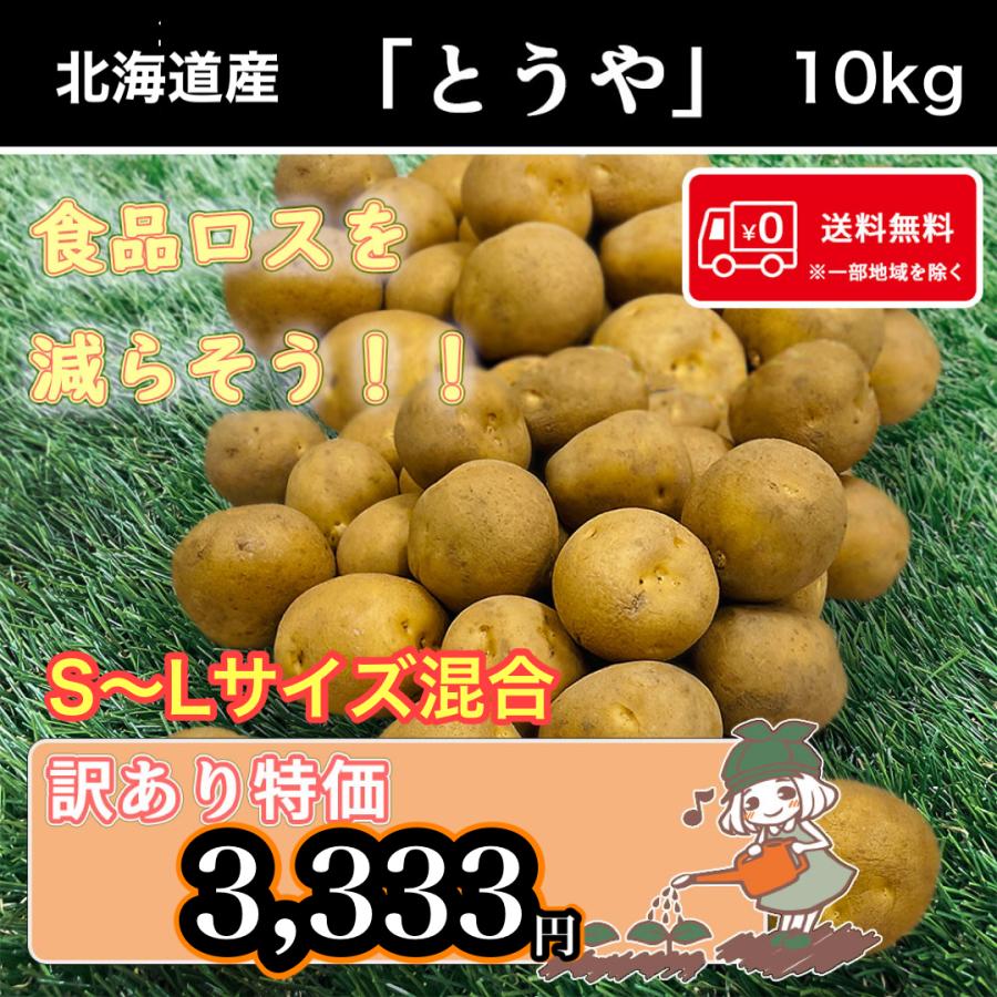 長崎県産 新じゃがいも 10キロ - 野菜