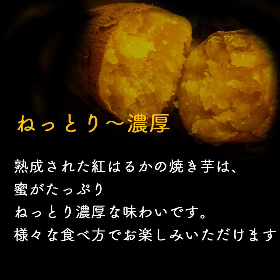 冷凍焼き芋 8本 紅はるか 国産 冷凍 やきいも さつまいも 無添加 お菓子 おやつ お取り寄せ