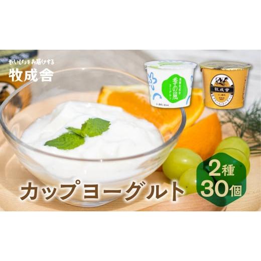 ふるさと納税 岐阜県 高山市 ＜牧成舎＞ カップ ヨーグルト (30個セット) 飛騨の牛乳屋、こだわりのヨーグルト 飛騨高山  a569