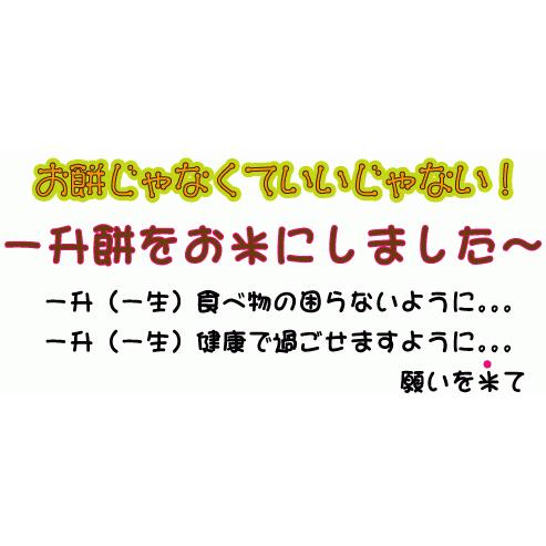 一升米・背負い餅・一升餅　ベビーリュック付き　 名入れラベル　１歳の誕生日のお祝い・プレゼントに　一歳誕生祝い