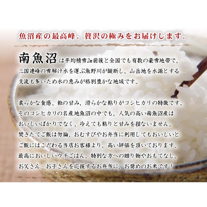 新米 お米 令和5年産 5kg 南魚沼産コシヒカリ 新潟産 送料無料 （北海道、九州、沖縄除く）