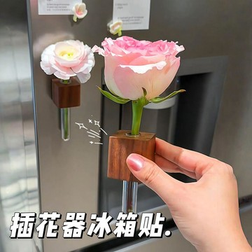🔥臺灣出貨🔥實木插花器創意試管插花器冰箱貼磁貼留言固定磁力貼水培植物花瓶SNM