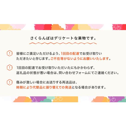 ふるさと納税 山形県 村山市 先行予約 さくらんぼ 佐藤錦 赤秀 500g×2パック L-2L玉 バラ詰 ご家庭用 2024年産 令和六年産 山形県産 mm-snpcx1000