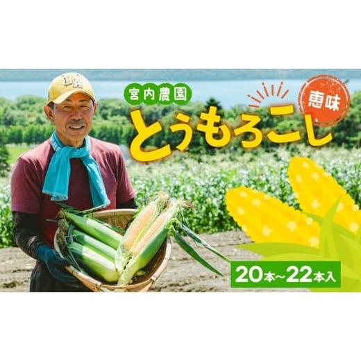 ふるさと納税 北海道 洞爺湖町 北海道産 とうもろこし 恵味 めぐみ 2L 20〜22本 朝採り トウモロコシ 玉蜀黍 コーン とうきび 大きめ スイートコーン 甘い 旬 …